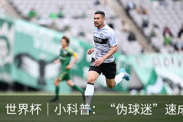 世界杯｜小科普：“伪球迷”速成手册